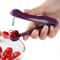 Multi Function Cherry And Olive Pitter Seed Remover Kitchen Tool 2