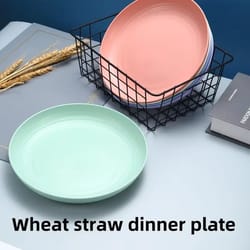 nordic wheat straw fruit and snack plates set (5 pcs)