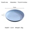 Nordic Wheat Straw Fruit And Snack Plates Set 5 PCS 4