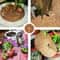 Natural Coconut Fiber Tree Mulch Mat Round Coconut Coir Plant Protector Disc For Weed Control Soi 4