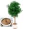 Natural Coconut Fiber Tree Mulch Mat Round Coconut Coir Plant Protector Disc For Weed Control Soi 5