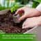 Organic Coco Coir Seed Starter Blocks Compressed Coconut Coir Soil Pods For Vegetable Flower Herb 3