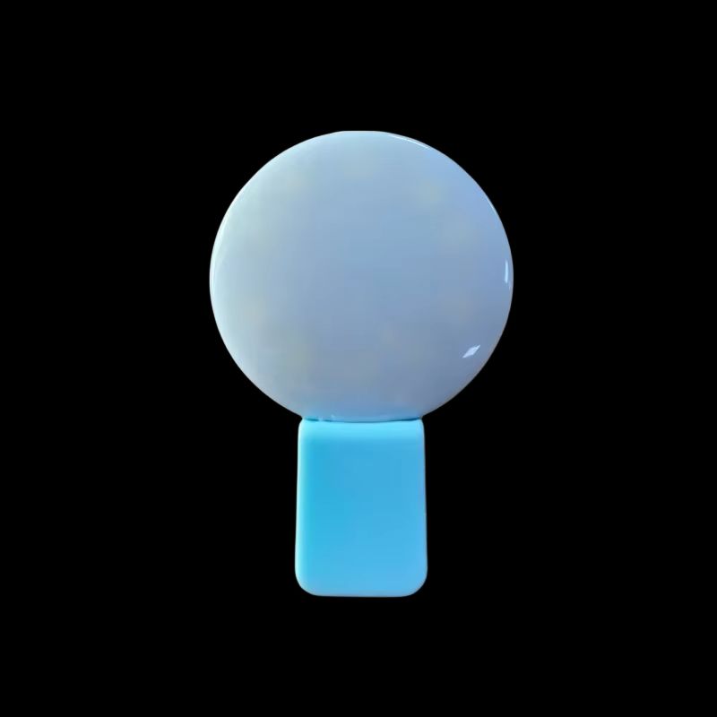 Portable LED Selfie Ring Light Clip On Phone Camera Light With Adjustable Brightness 13