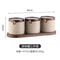 Japanese Style Ceramic Seasoning Jar Set Pottery Salt And Sugar Container Kitchen Condiment Storage 8
