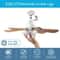 Modern Socket Ceiling Fan Light With Remote Wood Grain LED Fan Light 6Blade Design 4