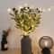 Battery Powered Olive Branch Fairy Lights Decorative Olive Leaf String Lights For Vases Room Deco 2