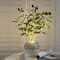 Battery Powered Olive Branch Fairy Lights Decorative Olive Leaf String Lights For Vases Room Deco 5
