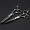 Professional Barber Hair Cutting Scissors And Thinning Shears Kit 2