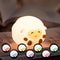 Cute Cartoon Animal RGB Night Light USB Rechargeable Silicone Touch Lamp 3