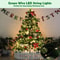 USB Copper Wire Fairy Lights With Remote Control Flexible Green String Decor 1