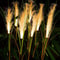Solar Reed Garden Lights Waterproof LED Outdoor Pathway Lawn Decor 1