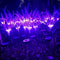 Solar Lavender Flower Garden Lights Waterproof LED Landscape Decor 3