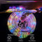 Solar LED Rope Lights Waterproof Outdoor Fairy String Lights With 8 Modes 2