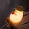 Cute Duck Silicone Night Light USB Rechargeable Kids Bedside Lamp 7