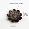 Bronze Lotus Alloy Incense Burner Plate Stick Holder Zen Meditation Decor 7
