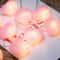 Heart Fairy String Lights Battery Operated Romantic LED Decor 6