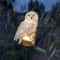 Solar Owl Garden Stake Light Waterproof Outdoor Lawn Decor 3