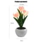 LED Tulip Night Light Bouquet Romantic Battery Powered Bedside Flower Lamp 2