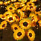 3 Head Solar Sunflower Garden Lights Outdoor Waterproof LED Landscape Decor 5