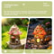 Solar Mushroom House Garden Light Fairy Figurine Outdoor Decor 2