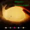 USB Rechargeable Silicone Whale Night Light Touch Control Kids Bedside Lamp 1
