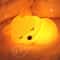 Rechargeable Cute Fox Silicone Night Light Dimmable Touch Lamp With Timer 2