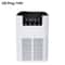 Negative Ion Air Purifier With HEPA Filter And Aromatherapy Smoke Odor Cleaner 6