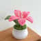 Handmade Crochet Lily Flower Pot Mini Decorative Potted Bloom Gift For Home And Desk 0