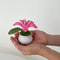Handmade Crochet Lily Flower Pot Mini Decorative Potted Bloom Gift For Home And Desk 2