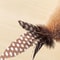 Rechargeable Interactive Bird Cat Toy With Feather Electric Teaser Squeaky Plush Kitty Toy 1