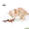 Rechargeable Interactive Bird Cat Toy With Feather Electric Teaser Squeaky Plush Kitty Toy 3