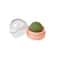 Natural Catnip Wall Ball Toy Self Adhesive Lickable Cat Treat And Interactive Toy 9