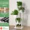 Multi Tier Wooden Plant Stand Indoor Flower Shelf Rack For Multiple Pots 8