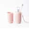 Portable Toothbrush And Toothpaste Travel Case Dustproof Hygienic Storage Holder 1