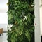 Artificial Boxwood Hedge Wall Panel For Indoor Outdoor Green Decor 1