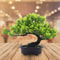Artificial Japanese Pine Bonsai Tree Realistic Faux Plant Decor For Desk Home And Office 1