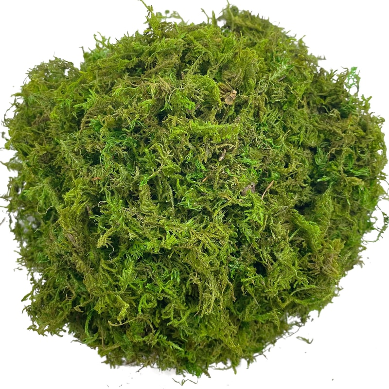 Artificial Green Moss For Potted Plants And Orchid Decor 1
