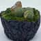 Artificial Green Moss For Potted Plants And Orchid Decor 4