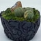 Artificial Green Moss For Potted Plants And Orchid Decor 4