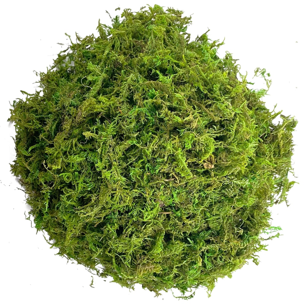 Artificial Green Moss For Potted Plants And Orchid Decor 6