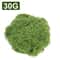 Artificial Moss Fake Grass For Crafts Mini Landscape Decor 6