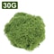 Artificial Moss Fake Grass For Crafts Mini Landscape Decor 6