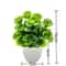 Mini Artificial Bonsai Potted Plant Cute Desk Decor Faux Flower Ornament 7