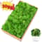 Natural Look Artificial Green Moss And Grass Set For Home Garden Decoration And DIY Crafts 0