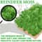 Natural Look Artificial Green Moss And Grass Set For Home Garden Decoration And DIY Crafts 2