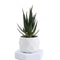 Mini Artificial Succulent Bonsai Plant Realistic Faux Cactus Decor For Desk And Home 4