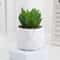 Mini Artificial Succulent Bonsai Plant Realistic Faux Cactus Decor For Desk And Home 7