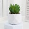 Mini Artificial Succulent Bonsai Plant Realistic Faux Cactus Decor For Desk And Home 7