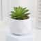 Mini Artificial Succulent Bonsai Plant Realistic Faux Cactus Decor For Desk And Home 8