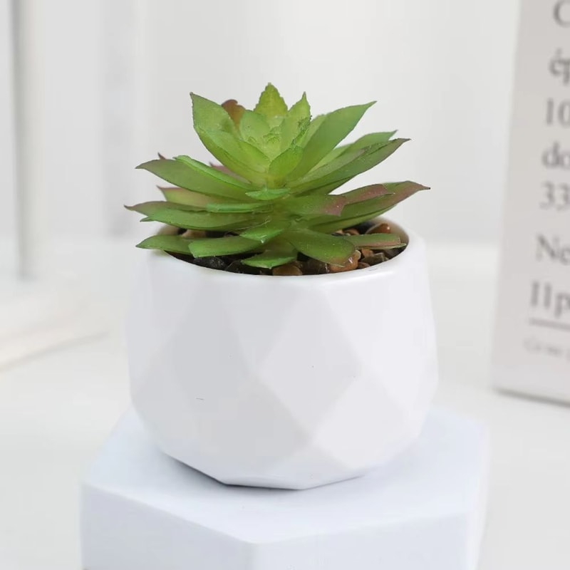 Mini Artificial Succulent Bonsai Plant Realistic Faux Cactus Decor For Desk And Home 8